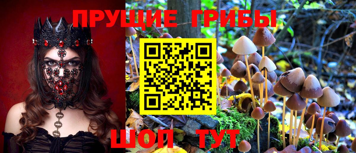 Галлюциногенные грибы MAGIC MUSHROOMS Сокол