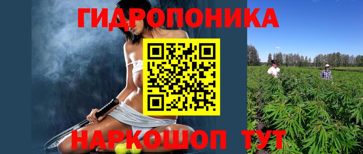 Канабис ГИДРОПОН  Вход с VPN  Сокол  МАРИХУАНА тримм  Конопля сатива 